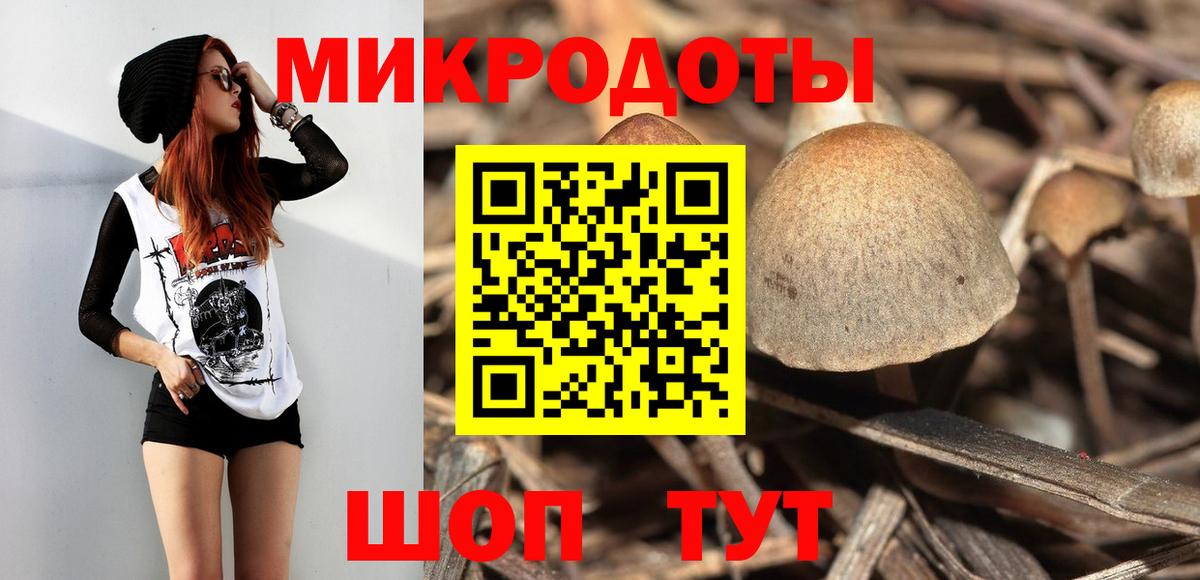 Скопин  Псилоцибиновые грибы мухоморы  Вход с VPN 